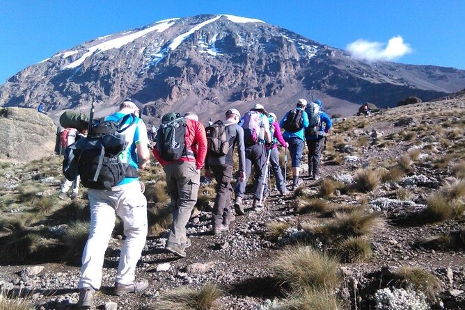 6 Days Kilimanjaro Climbing Machame route - Day-by-day Kilimanjaro Machame: what each stretch is really like