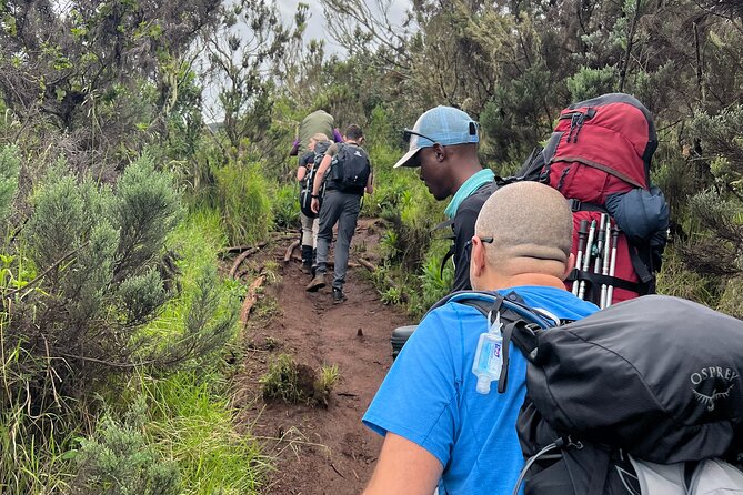 6 Days Kilimanjaro Climbing Marangu Route - Why the Marangu Route is the classic Kilimanjaro choice