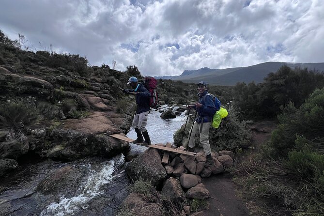 6 Days Kilimanjaro Climbing Marangu Route - Mandara to Horombo: heathland, giant lobelias, and Mawenzi views