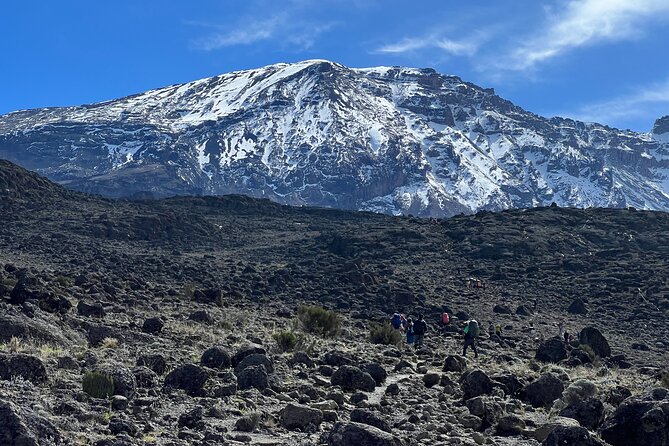 6 Days Kilimanjaro Climbing Marangu Route - The Horombo acclimatization day: rest, or a controlled Mawenzi stroll