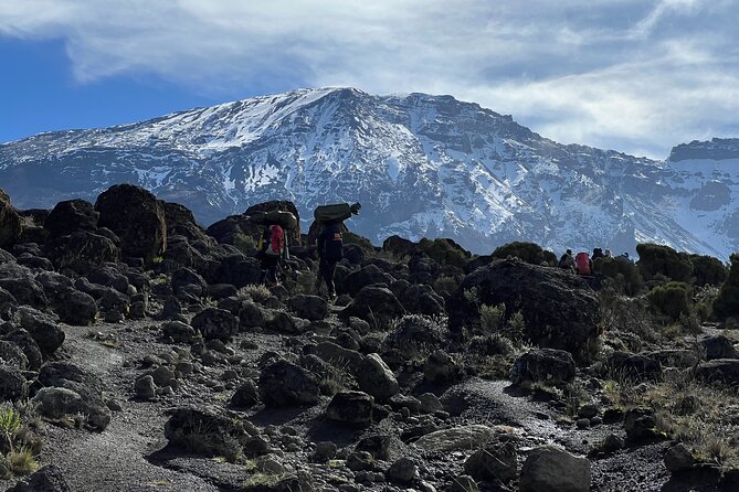 6 Days Kilimanjaro Climbing Marangu Route - Moshi, the park gate, and Day 1’s rainforest footing