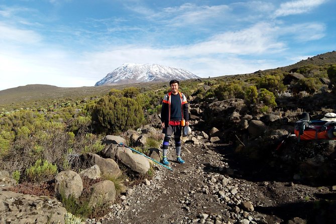 6 Days Kilimanjaro Lemosho route Climbing and Hiking Tour - Day 5: Midnight Climb to Stella Point and Uhuru Peak at 5,895m