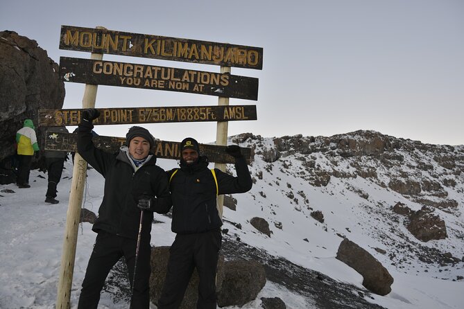 6 Days Kilimanjaro Lemosho route Climbing and Hiking Tour - Price and What You’re Really Buying for $930
