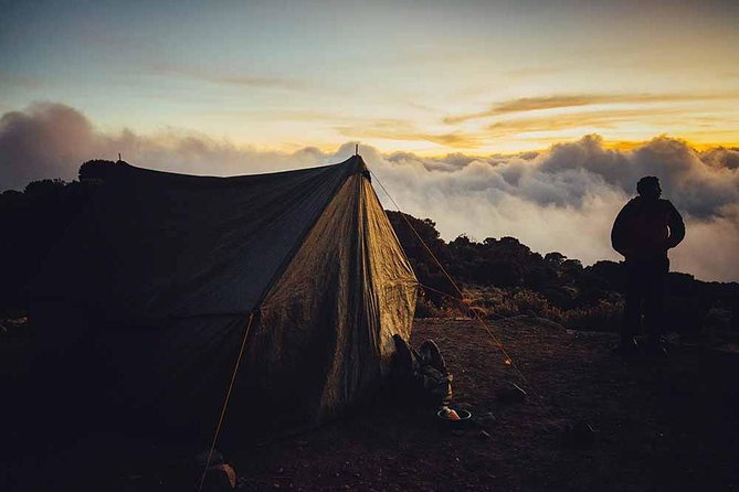 6 Days Kilimanjaro Trekking - Machame Route - Moshi pickup and the start at Kilimanjaro National Park