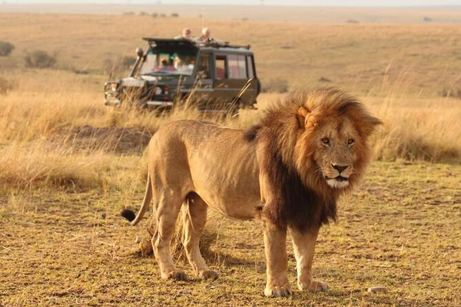 6 Days lodge &camping tour Serengeti ,Tarangire ,Ngorongoro Crater and Manyara - Key things I’d circle on your map