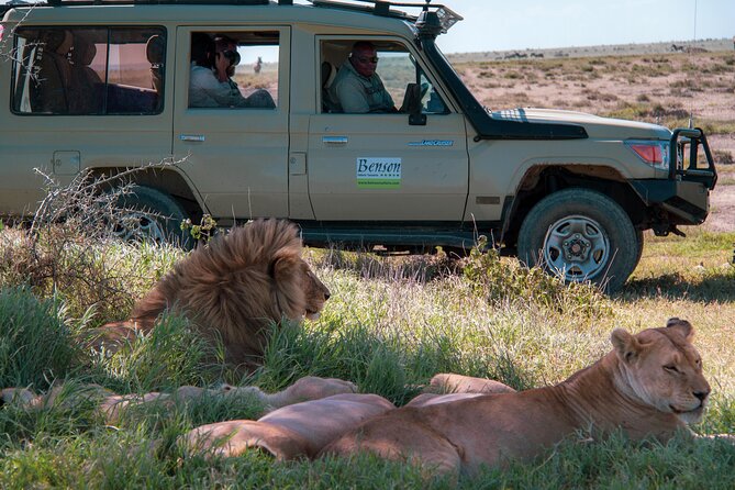 6 Days Lodge & Tented Camp Luxury - The Serengeti Trail & Tarangire - Tarangire National Park: Baobabs, Elephants, and a Dry-Season Water Story