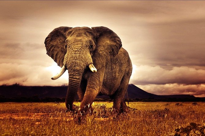 6 Days Luxury Migration Safari-Northern Tanzania - Day 6: Lake Manyara, Mto wa Mbu market, then Arusha or onward flights