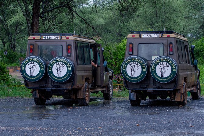6 Days Luxury Northern Circuit Safari - A Glimpse of Tanzania Adventure - Tarangire National Park: Elephants First, Then the Predators
