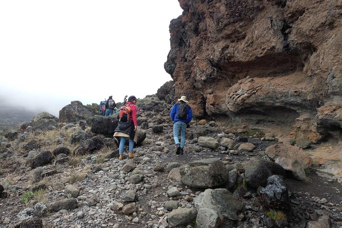 6 days Machame route climbing Mt.Kilimanjaro - Day 6, Mweka Gate, certificates, showers in Moshi, and a staff celebration