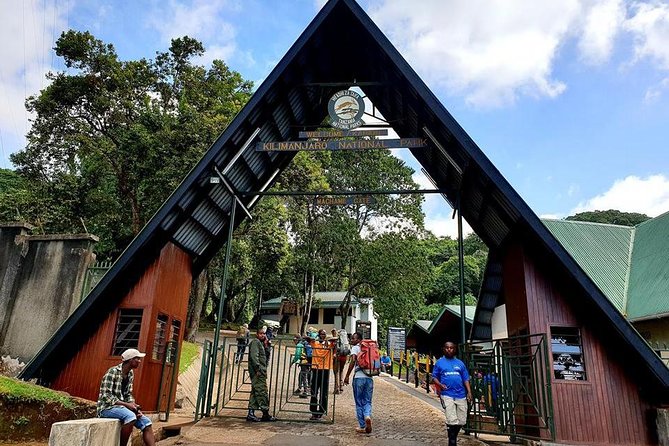 6 Days Machame Route Hike - Camp life in tents: meals, recovery, and staying functional