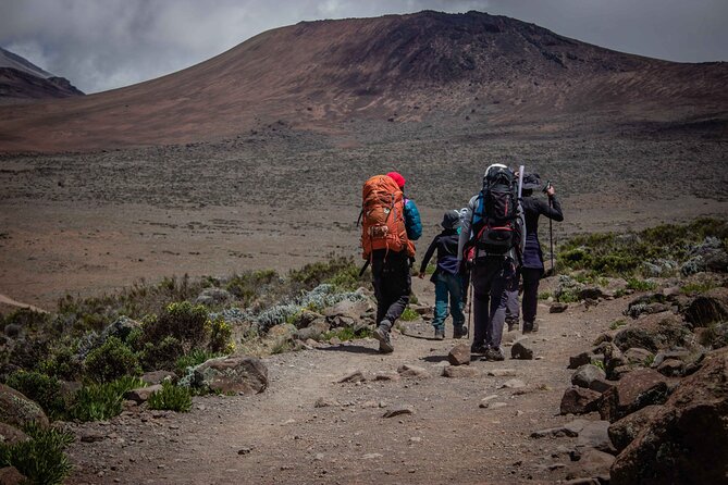 6 Days MARANGU ROUTE (Kilimanjaro Trekk) - From Moshi to Marangu Gate, the start that sets the tone