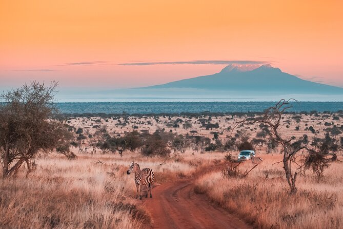 6 Days Mount Kilimanjaro Climbing via Rongai Route - Key highlights worth planning around