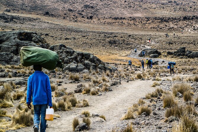 6 Days Mount Kilimanjaro Climbing via Rongai Route - Day 3 to semi-desert terrain: shorter day, bigger altitude awareness