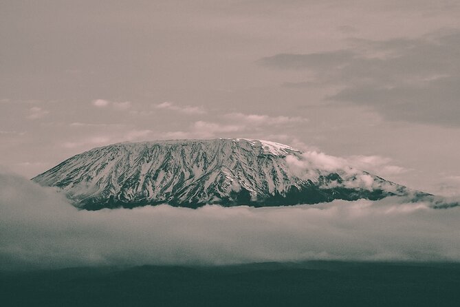 6 Days Mount Kilimanjaro Climbing via Rongai Route - Moshi pickup and the park gate start, getting organized early