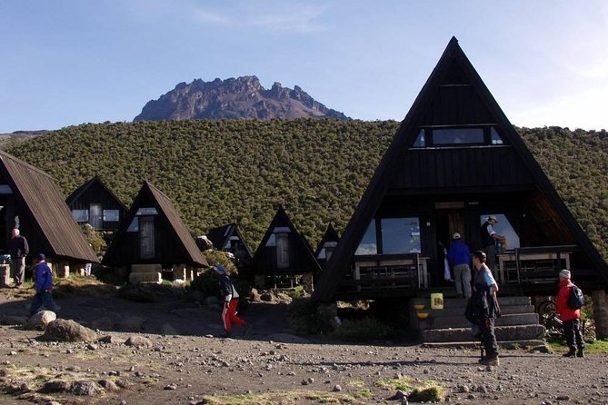 6 Days Mount Kilimanjaro Trek Marangu Route - Day 6: Descent back to Moshi, rainforest again, and a final warm lunch at 2,700m
