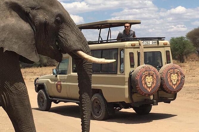 6 Days Private Budget Safari - Lake Manyara by late afternoon: flamingos, tree-climbing lion lore, and a fast Arusha finish