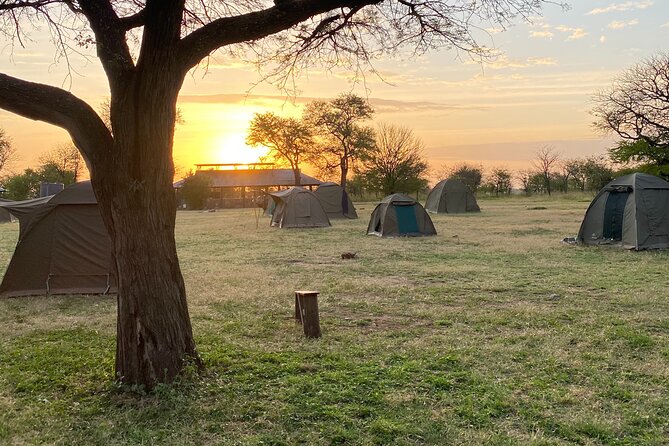 6 Days Private Budget Safari - Price and value: how the $2,300 per person budget private safari adds up