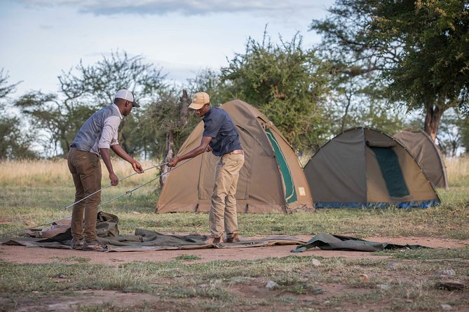 6 Days Private Budget Safari - Serengeti days 2 and 3: morning wildlife, hot lunch, and serious birding time