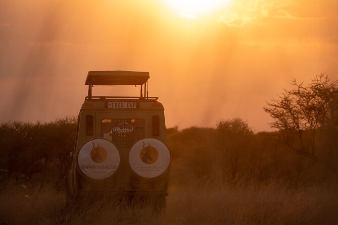 6 Days Private Safari Tour - Private Safari From Moshi: what $11,980 per group really buys