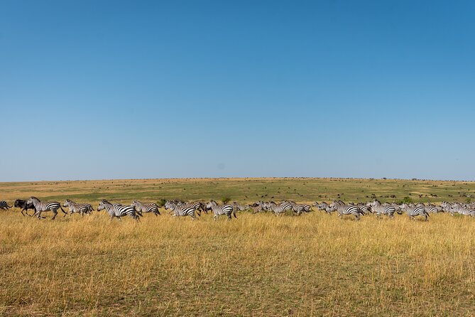 6 Days Private Safari Tour - Day 4: Ngorongoro Conservation Area half-day game drive, then overnight setup