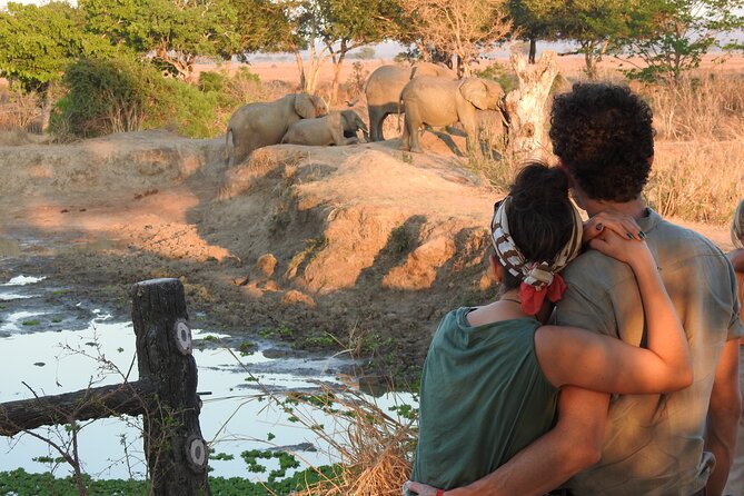 6 Days Private Safari with Mid-range Lodges or Camps - Full-Day Serengeti Driving for Big Cats, Grazers, and Behavior Moments