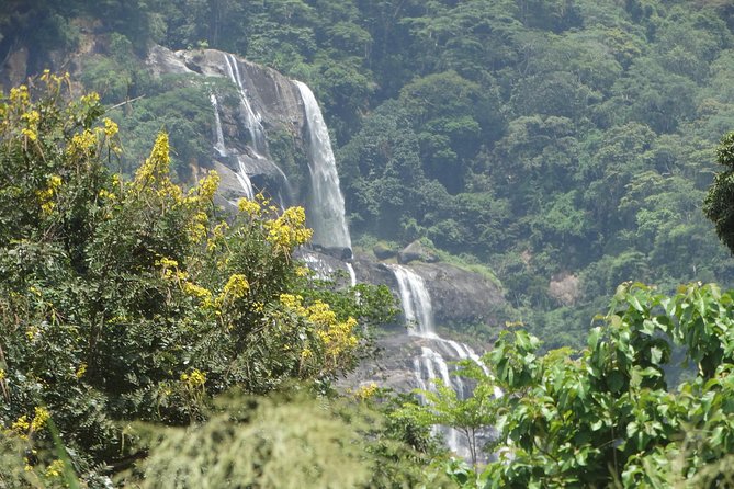 6 Days Safari to Udzungwa Mountain NP, Ruaha NP and Mikumi NP - Key highlights at a glance
