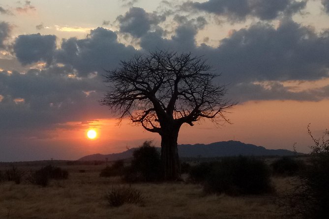 6 Days Safari to Udzungwa Mountain NP, Ruaha NP and Mikumi NP - Where You’ll Sleep and Eat, and Why It Matters