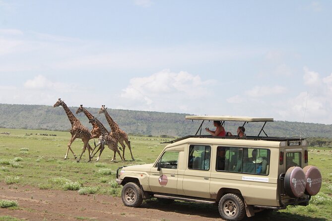 6 Days Serengeti Safari(hiking waterfalls &coffee tour) - How this north circuit safari gives you more than checkboxes