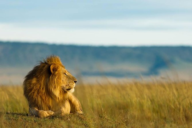 6 Days Tanzania Budget Camping Safari - Pickup, camping setup, and the included comforts that cut stress