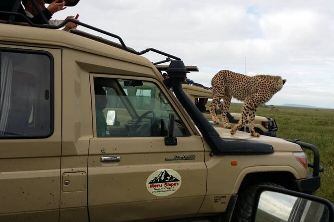 6 Days Tanzania Budget Camping Safari - Ngorongoro Conservation Area Day 4, sunrise timing and a campsite night