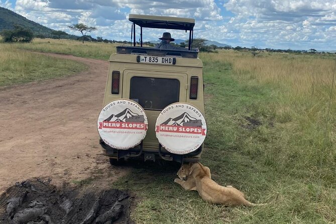 6 Days Tanzania Budget Camping Safari with Migration - En route to Serengeti: Rift Valley views and an early sense of scale