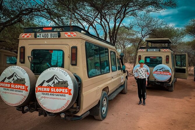 6 Days Tanzania Budget Camping Safari with Migration - Ngorongoro Crater floor: big-five density in an enclosed world