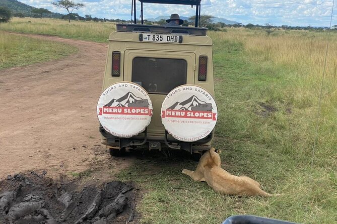 6 Days Tanzania Budget Camping Safari with Migration - Day 1 Tarangire National Park: elephants, baobabs, and a fast start