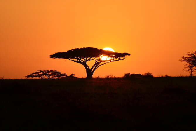 6 days Tanzania budget safari - Day 5 Ngorongoro for black rhinos: the hardest target first
