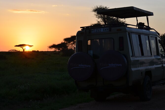 6 days Tanzania budget safari - Day 6 Lake Manyara: birds, flamingos, hippos, and hot springs stops