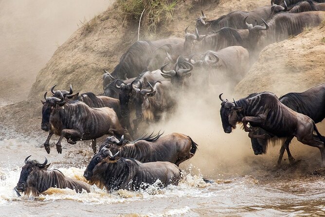 6 Days Tanzania Bush Experience Safari - Your Private Guide and the Pop-Up Roof Advantage