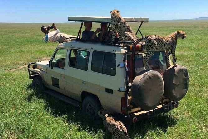6 Days Tanzania Bush Experience Safari - Ngorongoro Crater: The One-Day Wildlife Press Conference