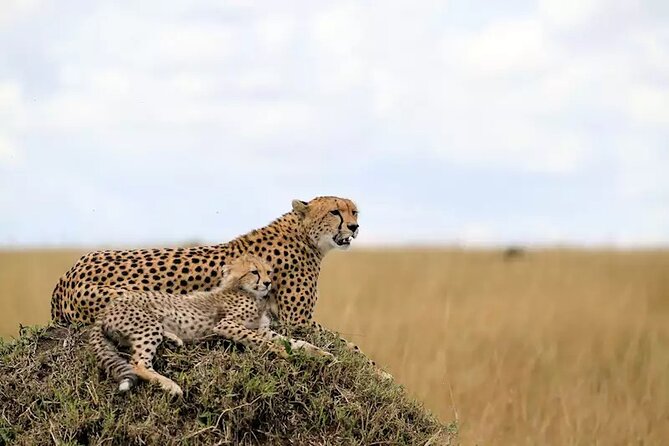 6 Days Tanzania Bush Experience Safari - Lake Natron: Hot Springs, Waterfalls, and That Big Red-Border Sky
