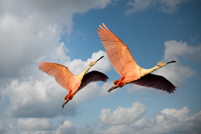 6 Days Tanzania Northern Circuit Safari - Central Serengeti and a Sundowner That Actually Fits the Day