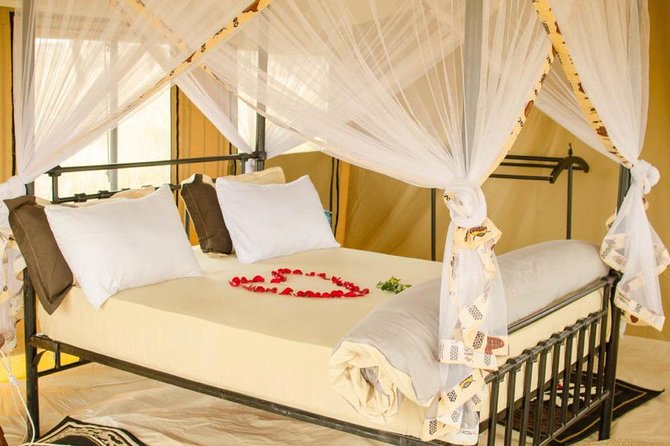 6 Days Tanzania Wildlife Camping Safari - Why this Tanzania wildlife camping safari feels different