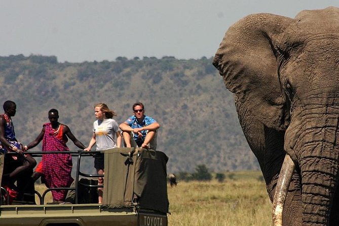 6 Days Tanzania Wildlife Camping Safari - Day 1 in Arusha: start smooth, then shift into safari mode