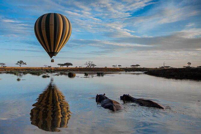 6 Days Tarangire, Serengeti, Ngorongoro & Manyara Joining Tour - What makes this safari work: jeep style, camping set-up, and the team onboard