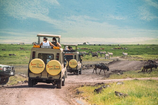6-DayThe Best of Northern Tanzania Safari - Tarangire National Park: elephants, baobabs, and bird-heavy game driving
