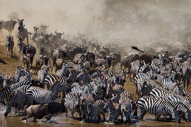 7 Day 6 nights Great Migration Classic Tanzania Safari - Why this Northern Circuit Great Migration route works