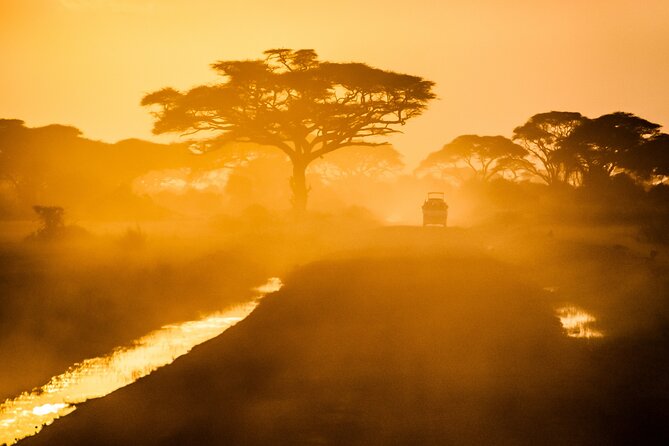 7 Day Grand Tanzania Safari - Days 3 and 4 Serengeti: first drive, central plains, and Seronera nights