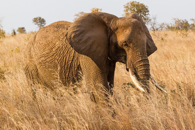 7-Day Great Migration Safari - Ngorongoro Conservation Area and crater-floor viewing at first light