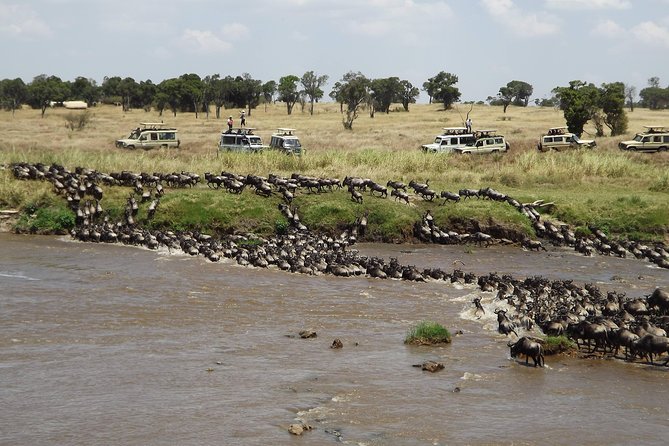 7-Day Great Migration Safari - Serengeti Pure Luxury Camp: three days of flexible wildlife time in Seronera