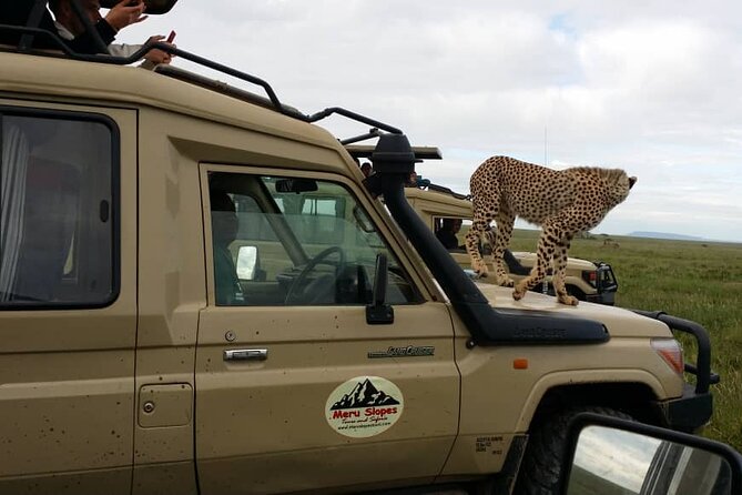 7-Day Group Camping Tarangire/Serengeti/Ngorongoro/lake Manyara - Price and value: what $1,790 is really buying
