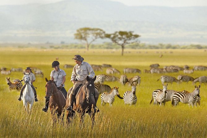 7 Day Joined Safari Serengeti,Ngorongoro,Manyara,Tarangire,Arusha National Park - Day 3 Serengeti National Park: half day drive, Seronera campsite, and predator odds