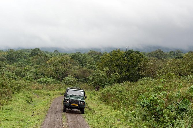 7 Day Joined Safari Serengeti,Ngorongoro,Manyara,Tarangire,Arusha National Park - Day 7 Arusha National Park: small scale safari with walking, canoeing, and craters